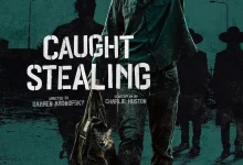 偷天盗日/盗垒失败 / 断正疯捕(港)