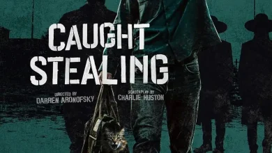 偷天盗日/盗垒失败 / 断正疯捕(港)