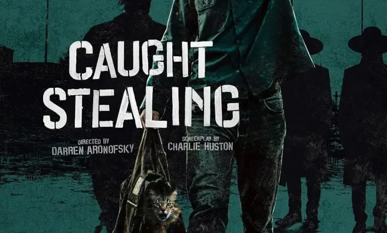 偷天盗日/盗垒失败 / 断正疯捕(港)